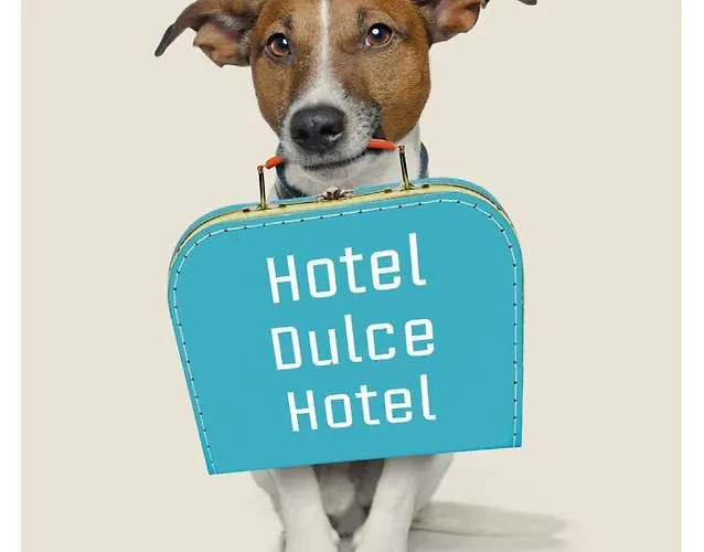 & Cons Da Garda 3* San Vicente do Grove